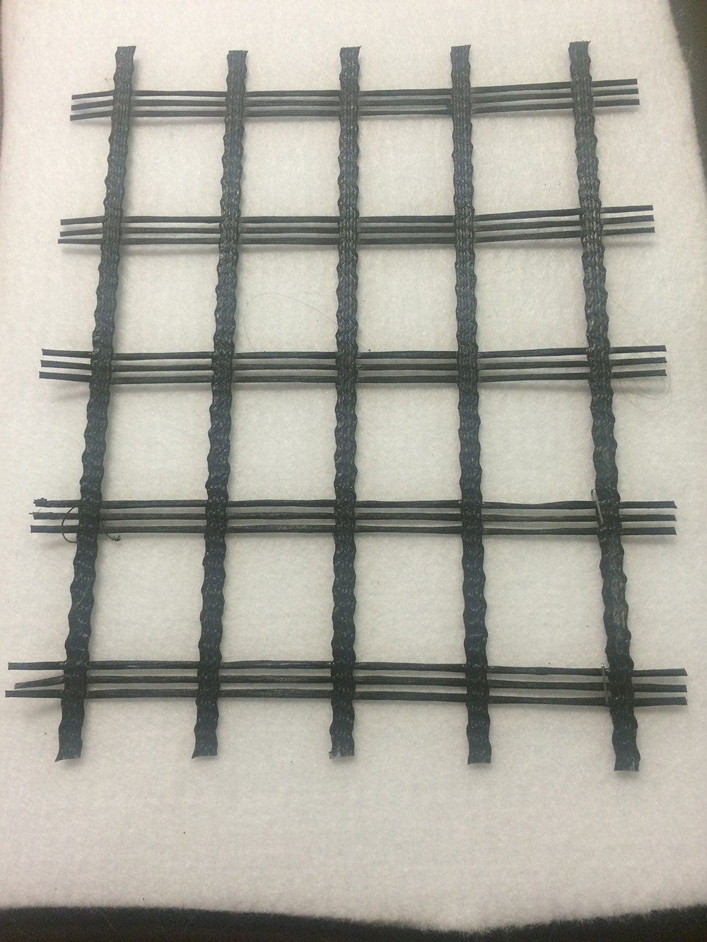 Geogrid